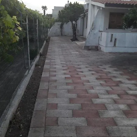 Ragno * Palumbo