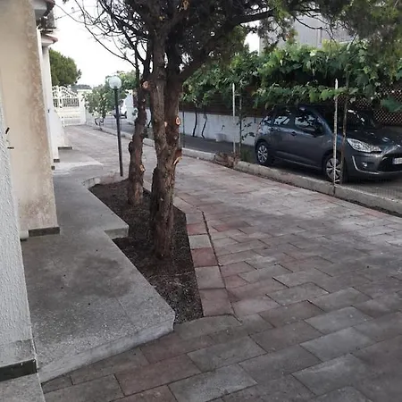 Ragno
