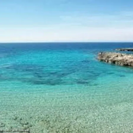 Ragno Villa Palumbo